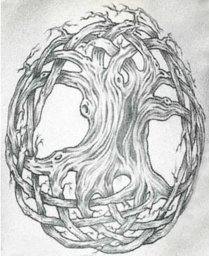 tree of life history and research celtic tattoo shop newport celtic family tree