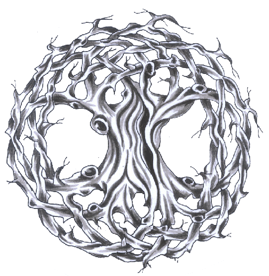 Celtic Tree Life Tattoo