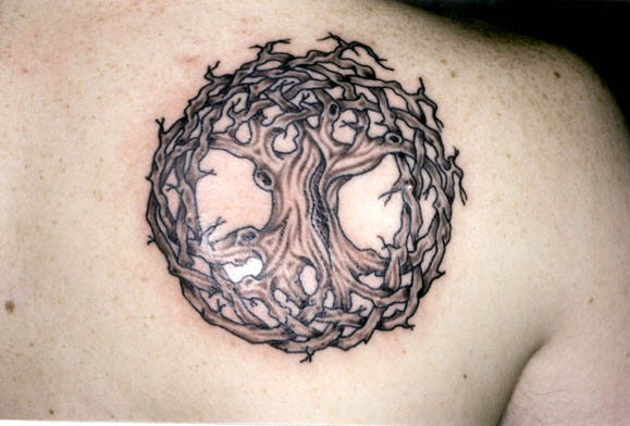 celtic tree of life images. Tree of Life - Beginning and