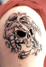 anewskull2-16.jpg (14491 bytes)