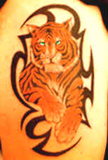 tiger large.jpg (19428 bytes)