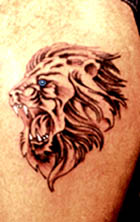 aalion.jpg (17222 bytes)