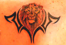 lion.jpg (18613 bytes)