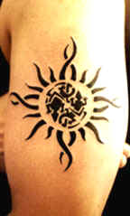 sun lizards.jpg (15787 bytes)